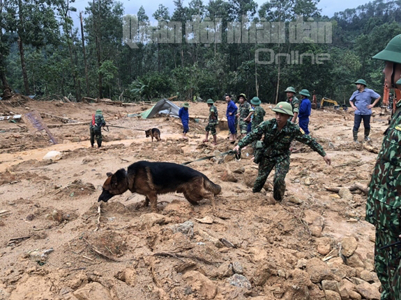 Đưa chó nghiệp vụ biên phòng tham gia tìm kiếm người mất tích tại Thủy điện Rào Trăng 3
